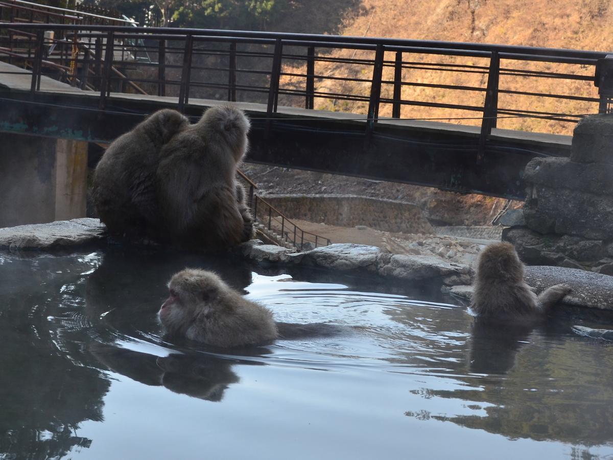 Pension Ringojam 飯山市 部屋 写真